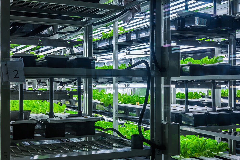 greenhouse monitoring slide 3