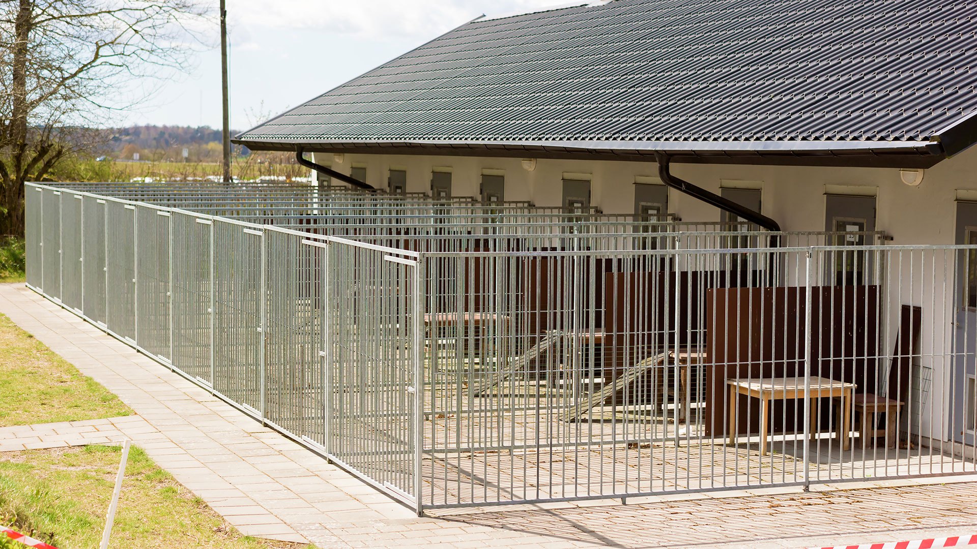 pet and animal welfare masthead