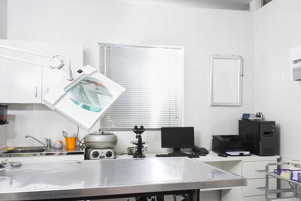 pet and animal welfare monitoring slide 3