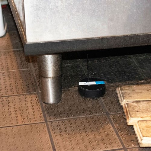 Water detection puck in restaurant kitchen